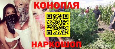 хмурый Новокубанск