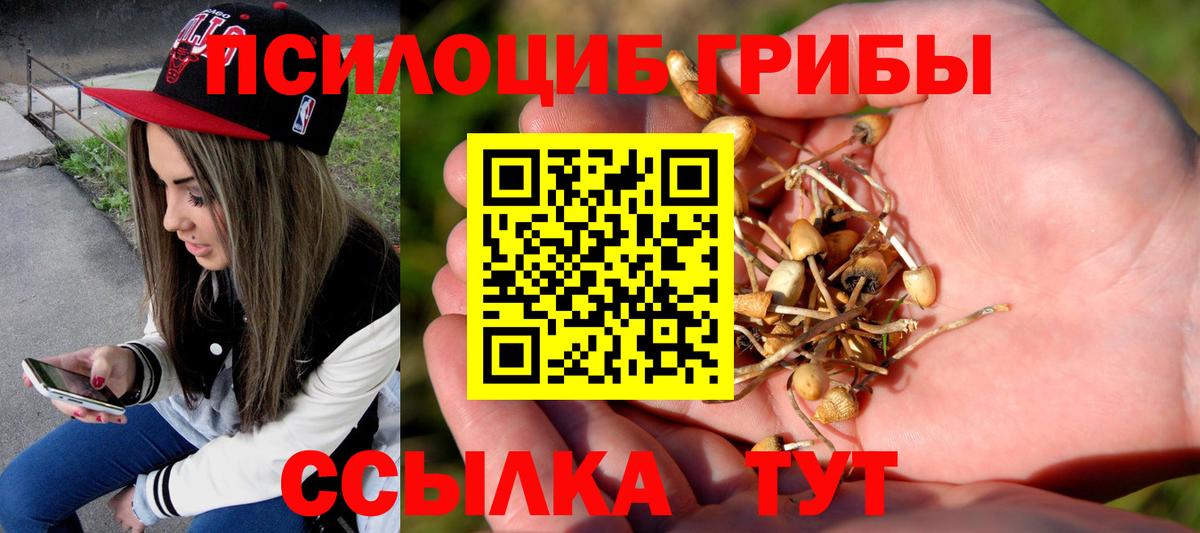 Псилоцибиновые грибы Cubensis  Вход с VPN  Славгород  Галлюциногенные грибы Psilocybine cubensis 